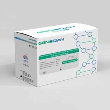 Novel Coronavirus Nucleic Acid Detection Kit (Lyophilized)