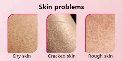 Bath and body works Vegan organic body butter