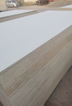Directly supply Poplar veneer backing plate