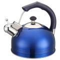 Stainless Steel Whistling Kettle -Spout with Cover