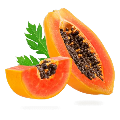 Papaya fruit extract powder