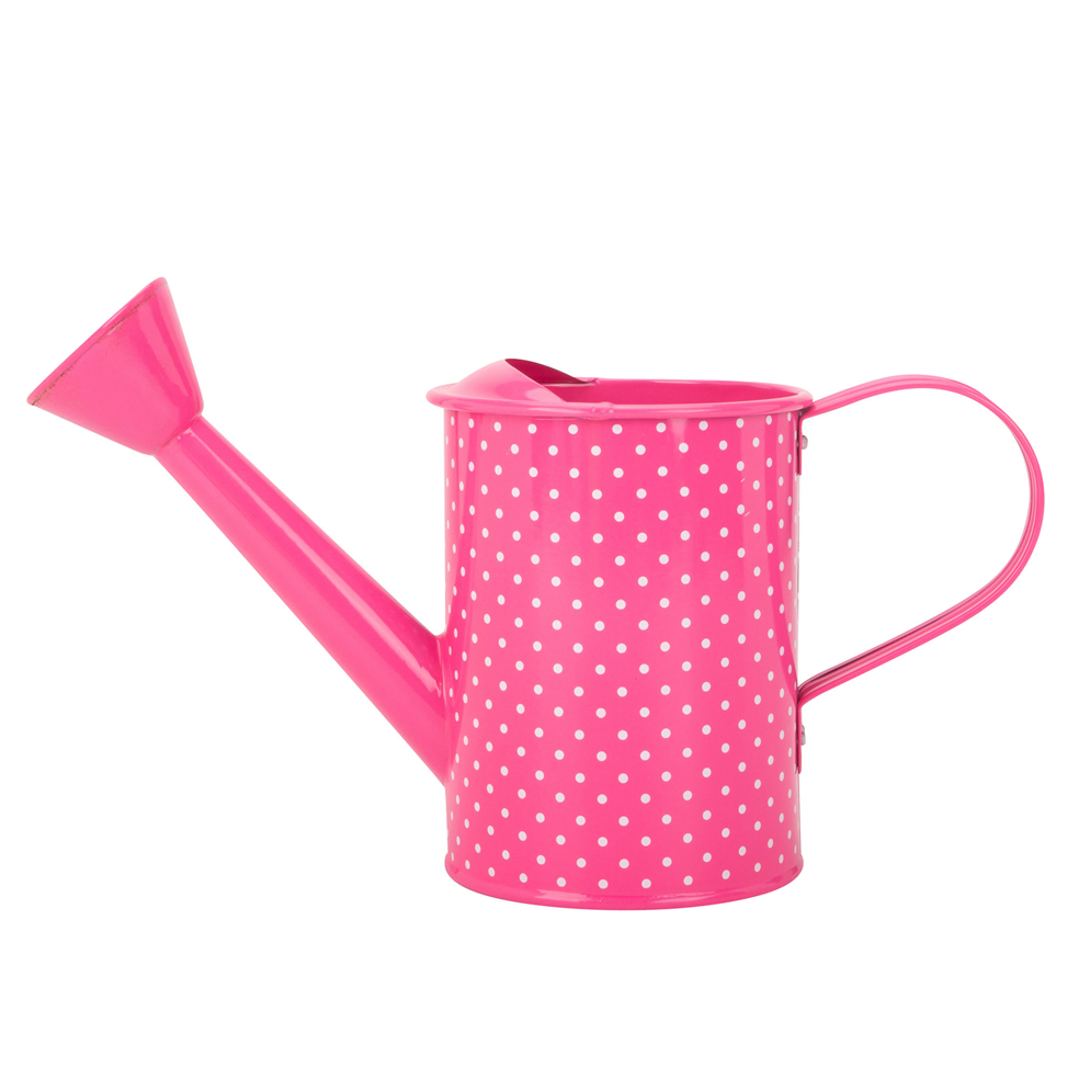 Watering Can With Long Spout