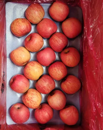 Qia Xia Paper Bagged Fuji Apples