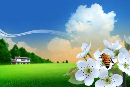 High Resolution Eco - Friendly Fields And Gardens Wall Decor Paintings For Home