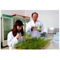 ABS Injection molding box Seed germination/sprouting box