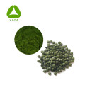 Natural Nutritional Supplements Chlorella Extract Powder