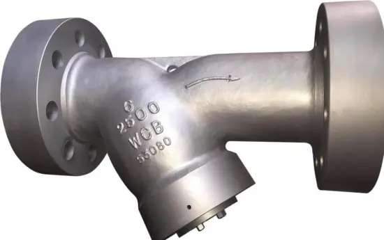 Bolt Cover Y Type Strainer