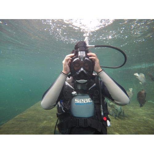 One Piece Full Face Snorkeling Mask