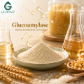lucoamylase لتحويل النشا إلى الجلوكوز بكفاءة