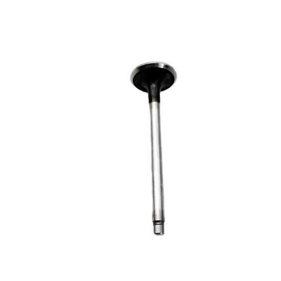 High Quality 404D Exhaust Valve - Factory Wholesale for CAR