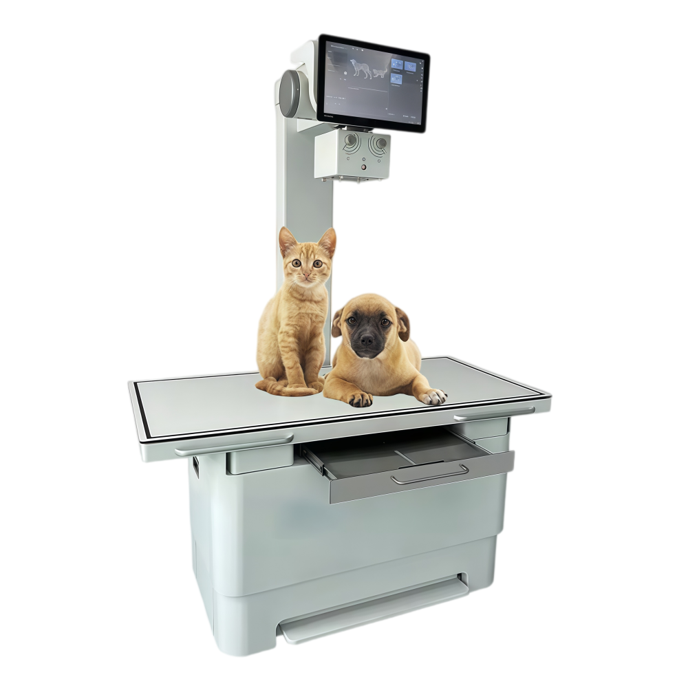 high stability veterinary gantry
