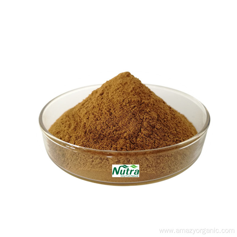 100% Prue Organic Agaricus Blazei Extract Powder