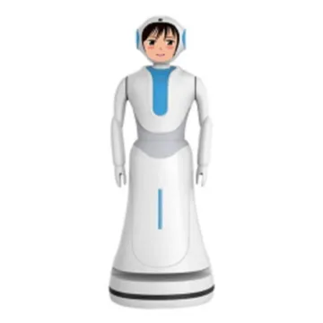 Wonderful Room Service Robot