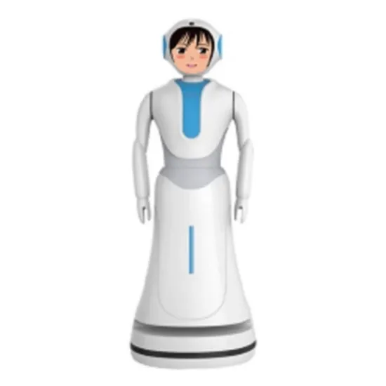 Wonderful Room Service Robot