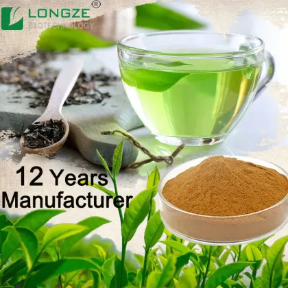 Green Tea Green Tea Extract Powder
