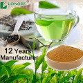 Pure Green tea extract Powder