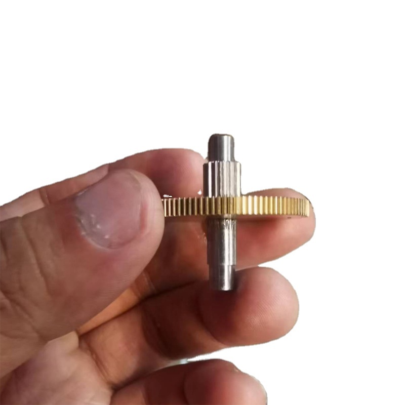 Customized Small Copper Spur Worm Gear