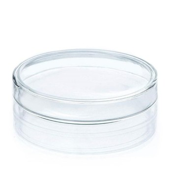 Disposable Transparent Glass Petri DishTransparent