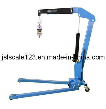 Zoological Lifter Scale