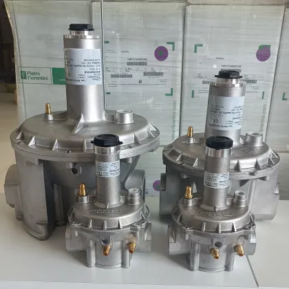 Pietro Fiorentini 3S150 DN Proportional Valve Amplifier