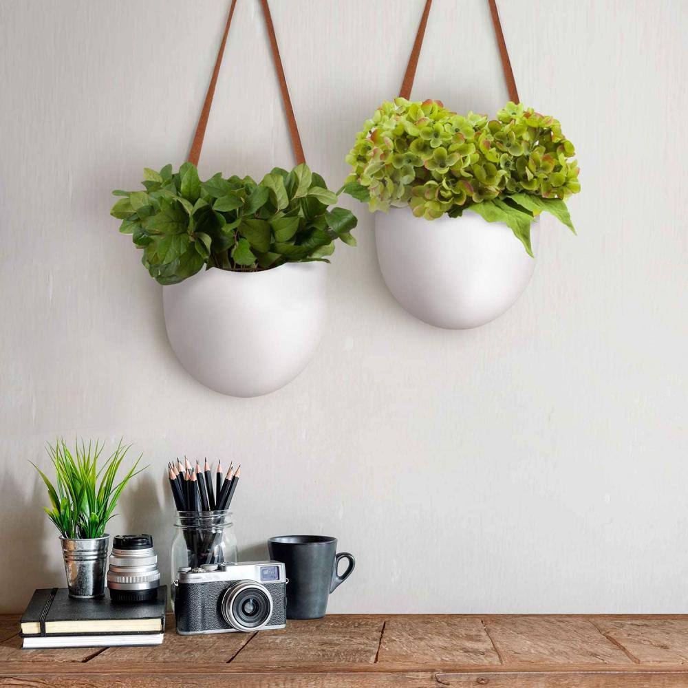 Unglazed Ceramic Air Plant Holder inomhus