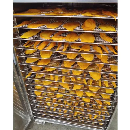 Creative Design Fruit and Vegetable Food Dryer for Gooseberry