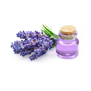 Premium Lavandula Angustifolia Extract for Aromatherapy and Skincare