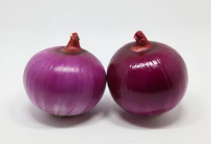 Round fresh red onions with good quality