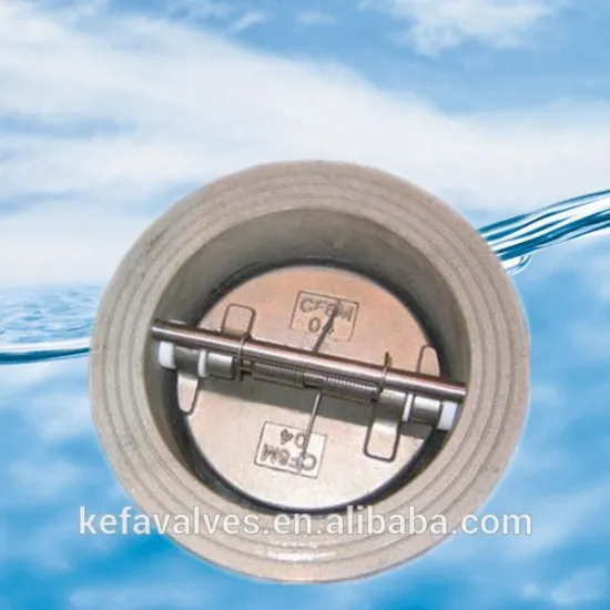 API594 Dual plate check valve