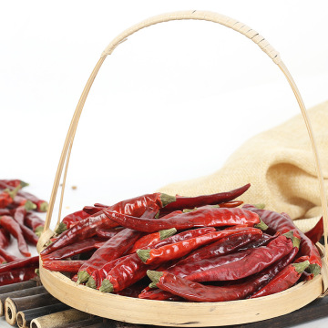 Ppepper Dry Spice Shizhu Chili ส่งออกจำนวนมาก