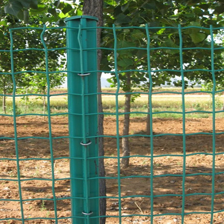 decorative pvc coated holland wire mesh garden fence