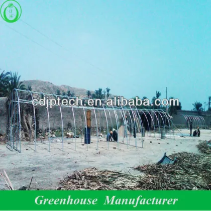 vegetables polytunnel green house