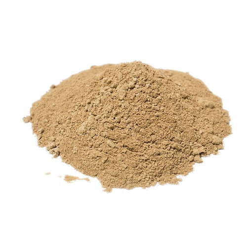 lion's mane mushroom powder 100% organic