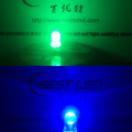 Dual-bright Dual Color LED 5mm Blue-Green Common Anode