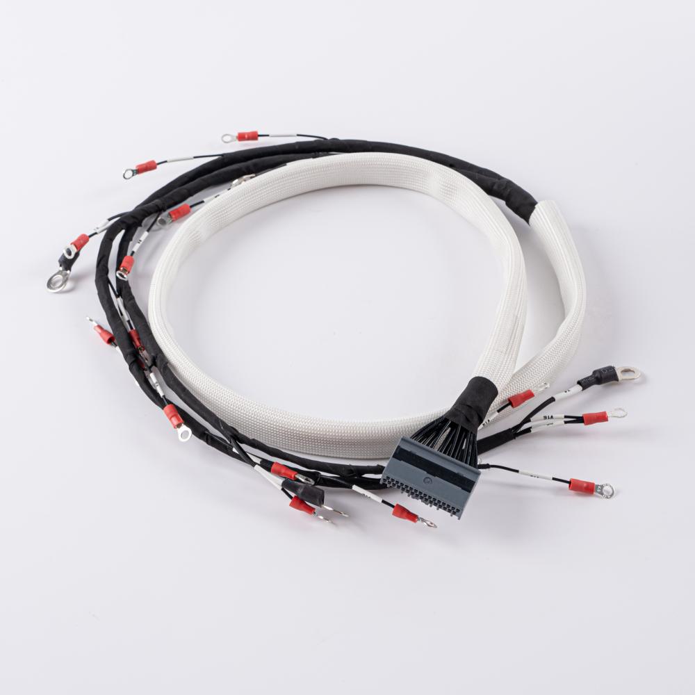 Custom Energy Wire Harness