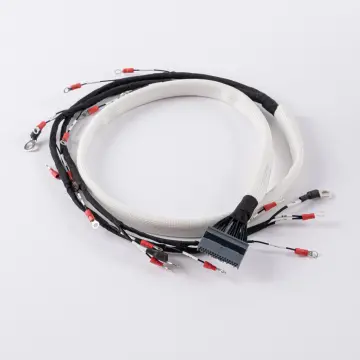 Custom Energy Wire Harness
