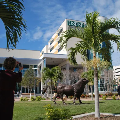 theme park outdoor sculpture bronze big bull sculpture
