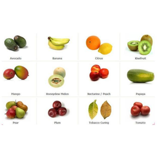 Ethylene Ripener for  Fruit