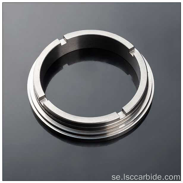 Carbide Seal Ring med "U" -formplats