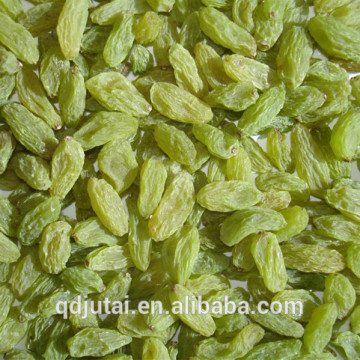 all types of green raisin wholesale green raisin sellers