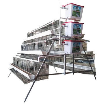 Automatic Feeding Chicken Coops and Cages for Sale in Poultry Farming