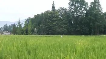 5KG electric water pump agriculture uav crop sprayer drone for sale
