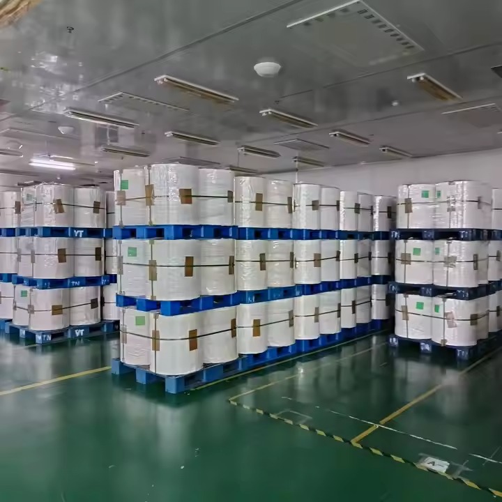 PET Film Roll for Packing3