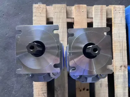 CBKP Classic Series Gear Pump