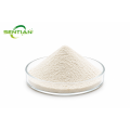 Premium White Kidney Beans P.E Extract for Natural Health Support