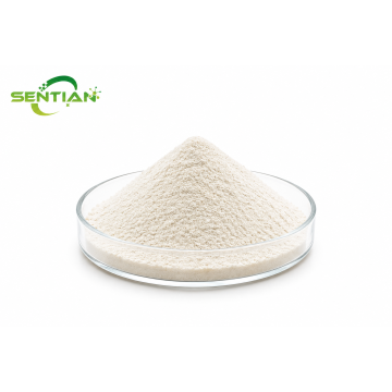 Premium White Kidney Beans P.E Extract for Natural Health Support