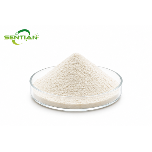 Premium White Kidney Beans P.E Extract for Natural Health Support