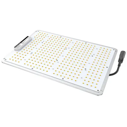 Best LED Grow Lighting 150W for Growers