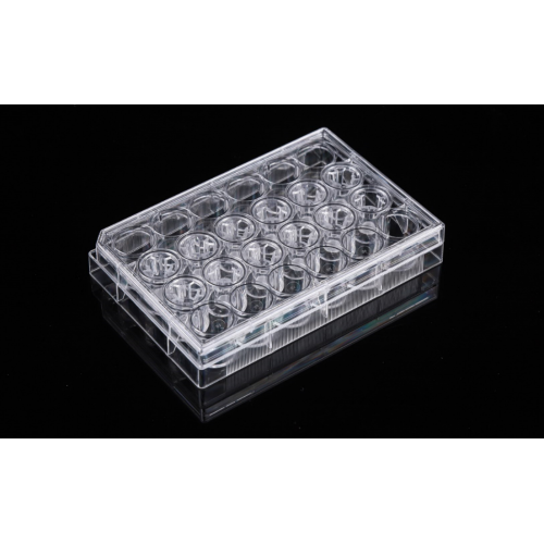 PET Memberane Cell Culture Inserts for 24-well plates