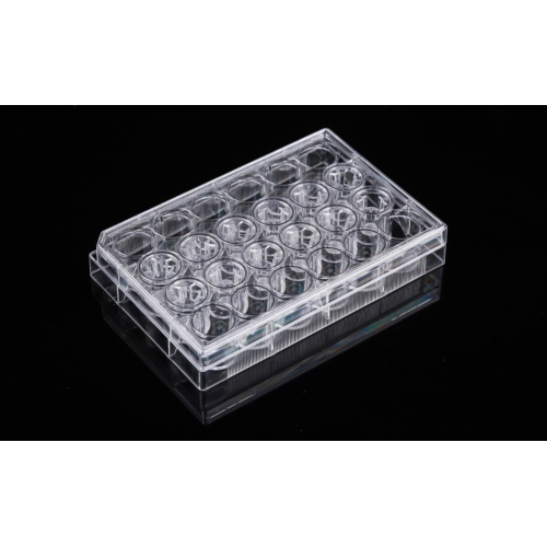 Pet Memberane Cell Culture Inserts สำหรับแผ่น 24 หลุม